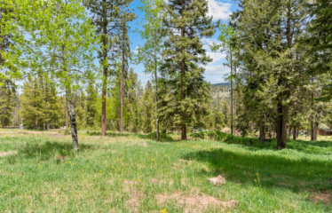 27677 Pine Grove Trail, Conifer, CO 80433