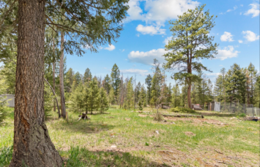 27677 Pine Grove Trail, Conifer, CO 80433