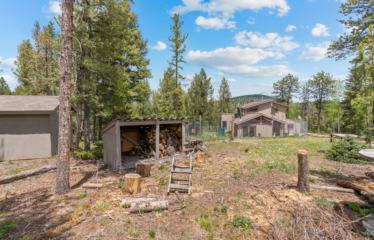 27677 Pine Grove Trail, Conifer, CO 80433