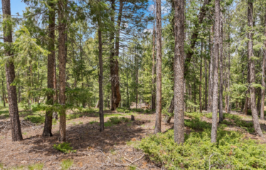 27677 Pine Grove Trail, Conifer, CO 80433